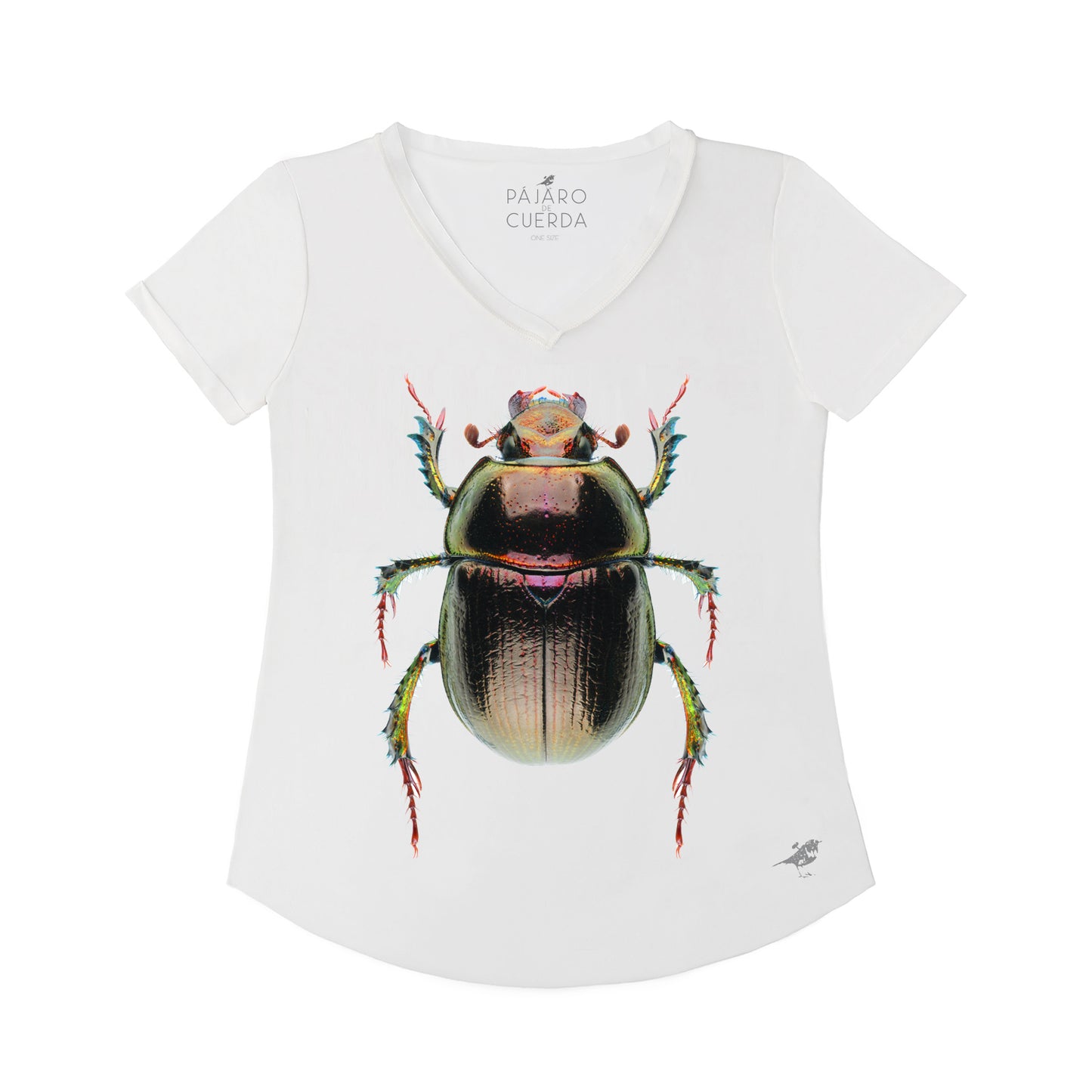 OLIVE BEETLE