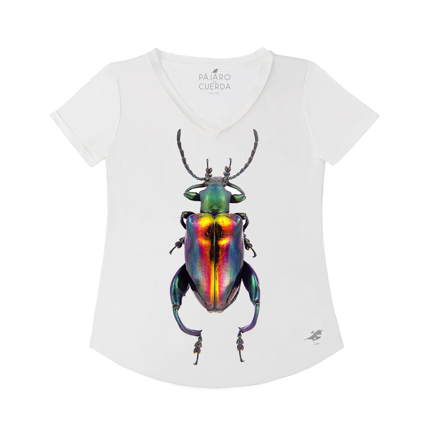 RAINBOW BUG