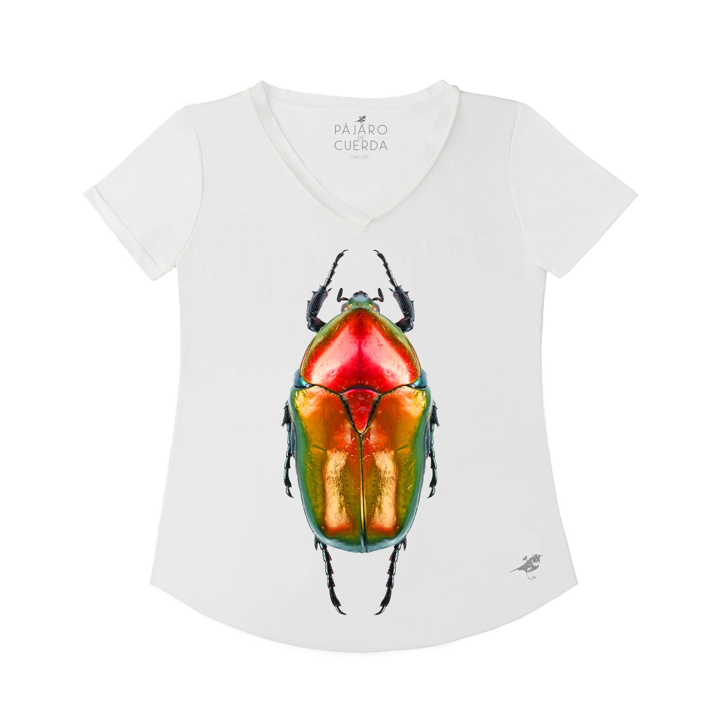 BELL PEPPER BEETLE
