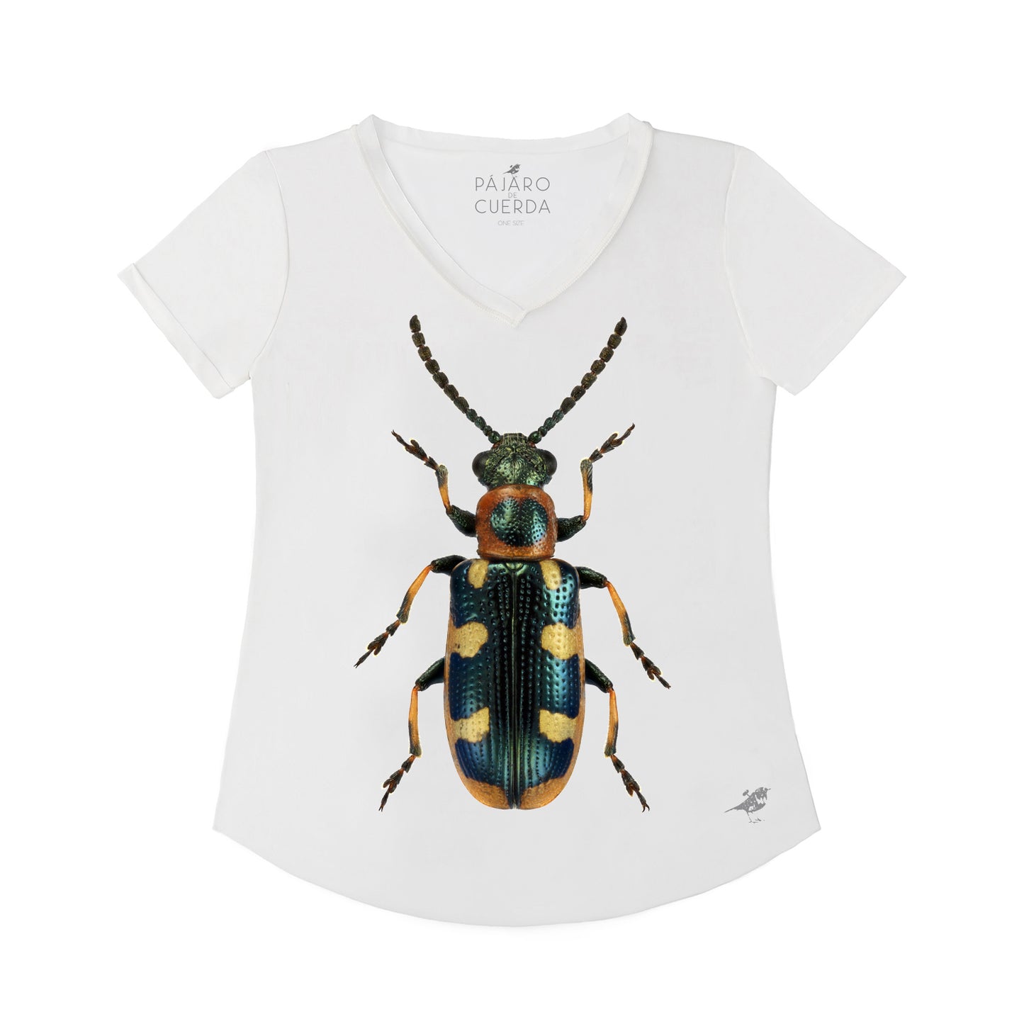 PICASSO BEETLE