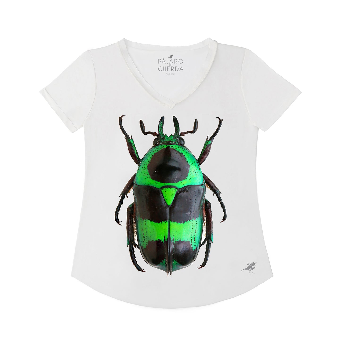 WARHOL BEETLE