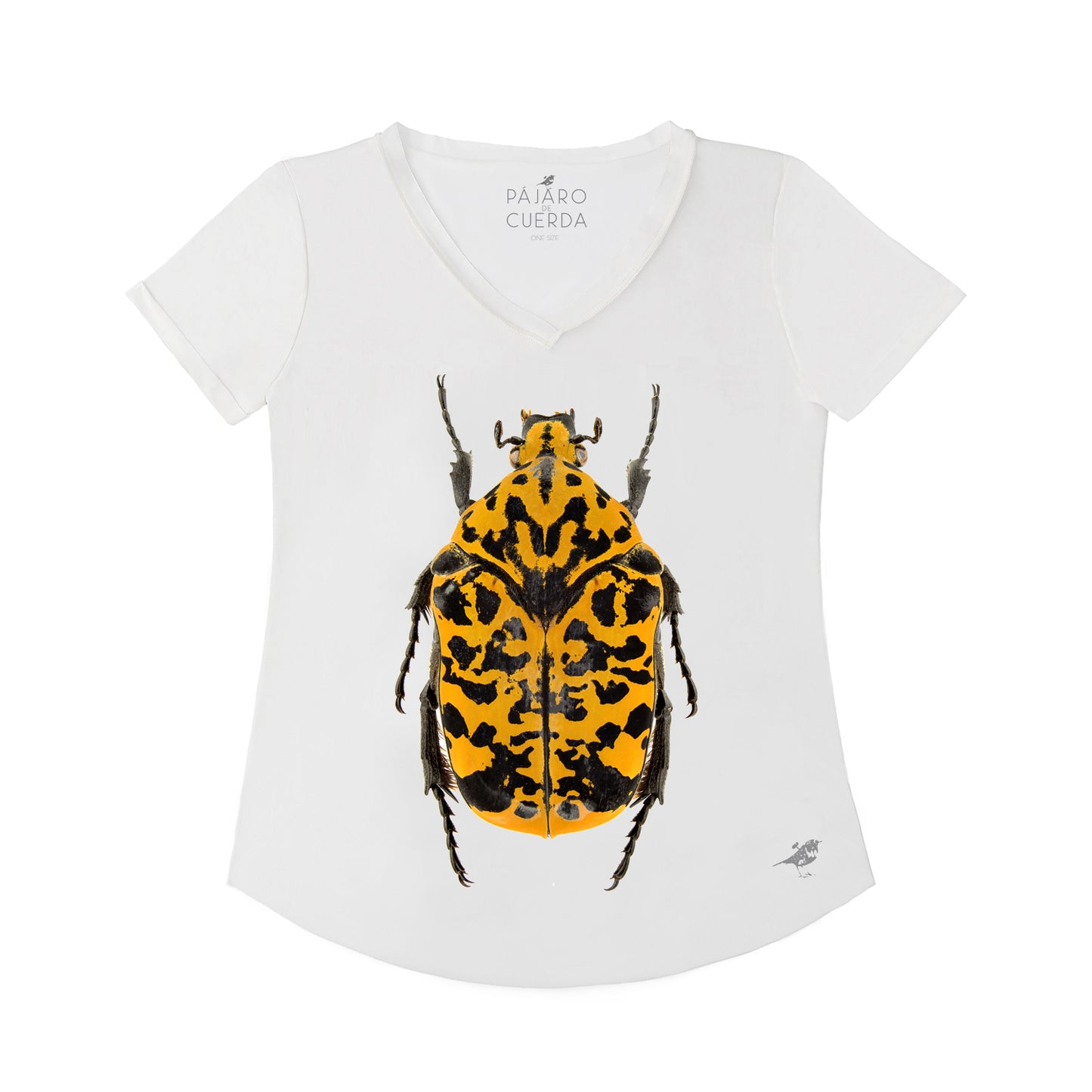 YAYOI BEETLE