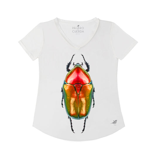 BELL PEPPER BEETLE